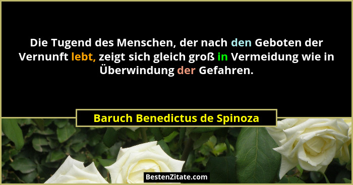 Die Tugend des Menschen, der nach den Geboten der Vernunft lebt, zeigt sich gleich groß in Vermeidung wie in Überwindun... - Baruch Benedictus de Spinoza