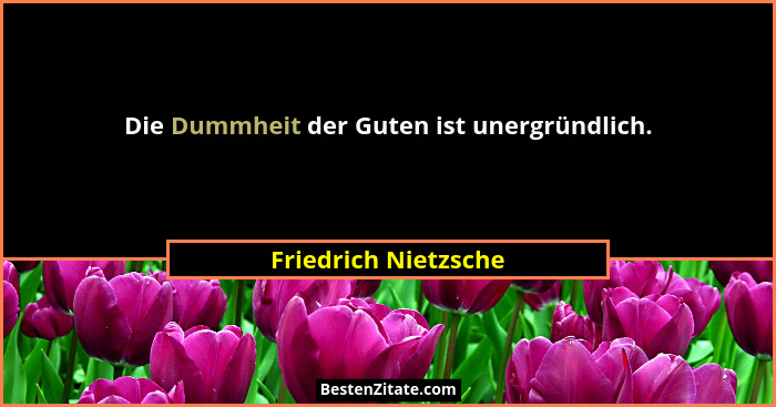 Die Dummheit der Guten ist unergründlich.... - Friedrich Nietzsche