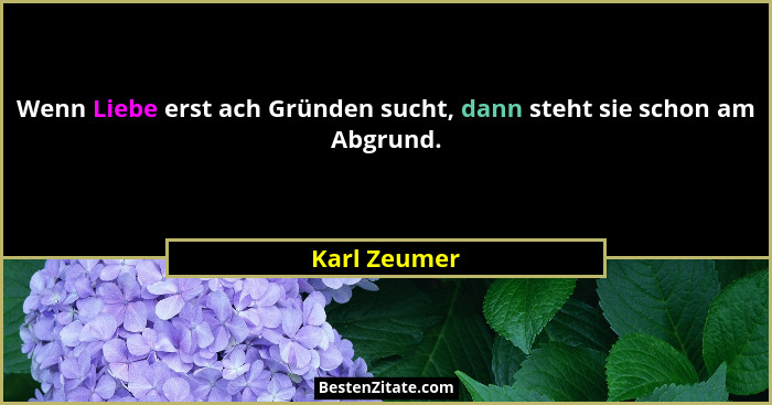 Wenn Liebe erst ach Gründen sucht, dann steht sie schon am Abgrund.... - Karl Zeumer