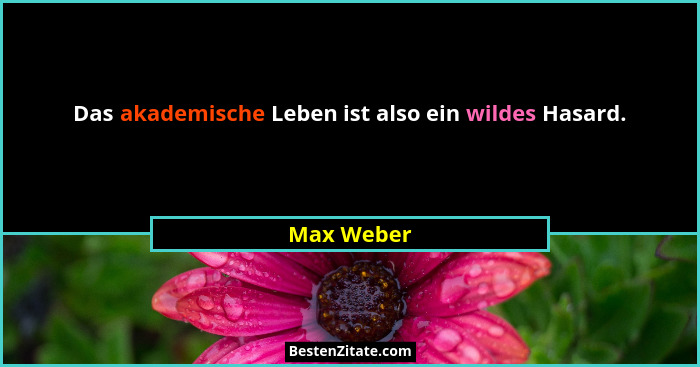 Das akademische Leben ist also ein wildes Hasard.... - Max Weber