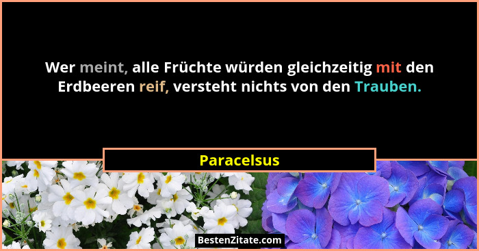 Wer meint, alle Früchte würden gleichzeitig mit den Erdbeeren reif, versteht nichts von den Trauben.... - Paracelsus