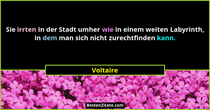 Sie irrten in der Stadt umher wie in einem weiten Labyrinth, in dem man sich nicht zurechtfinden kann.... - Voltaire