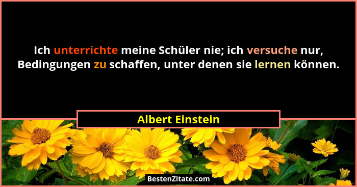 Ich unterrichte meine Schüler nie; ich versuche nur, Bedingungen zu schaffen, unter denen sie lernen können.... - Albert Einstein