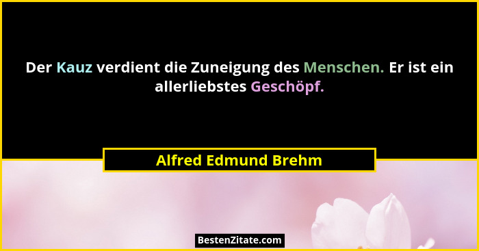 Der Kauz verdient die Zuneigung des Menschen. Er ist ein allerliebstes Geschöpf.... - Alfred Edmund Brehm