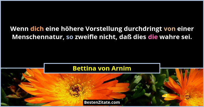 Wenn dich eine höhere Vorstellung durchdringt von einer Menschennatur, so zweifle nicht, daß dies die wahre sei.... - Bettina von Arnim