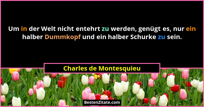Um in der Welt nicht entehrt zu werden, genügt es, nur ein halber Dummkopf und ein halber Schurke zu sein.... - Charles de Montesquieu