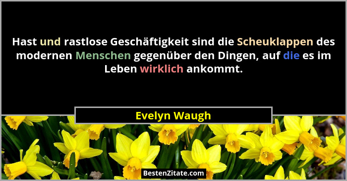 Hast und rastlose Geschäftigkeit sind die Scheuklappen des modernen Menschen gegenüber den Dingen, auf die es im Leben wirklich ankommt... - Evelyn Waugh