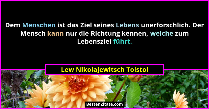 Dem Menschen ist das Ziel seines Lebens unerforschlich. Der Mensch kann nur die Richtung kennen, welche zum Lebensziel fü... - Lew Nikolajewitsch Tolstoi