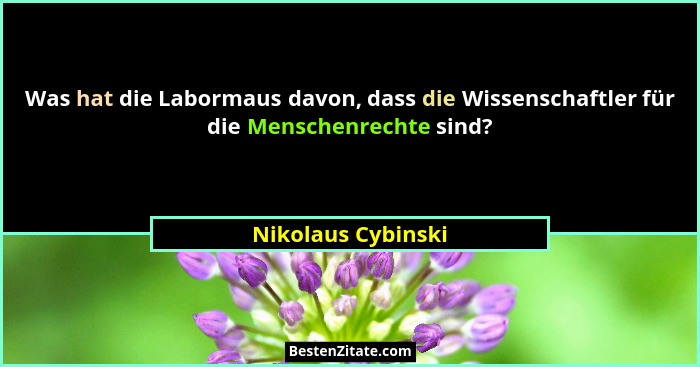 Was hat die Labormaus davon, dass die Wissenschaftler für die Menschenrechte sind?... - Nikolaus Cybinski