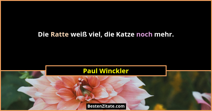 Die Ratte weiß viel, die Katze noch mehr.... - Paul Winckler