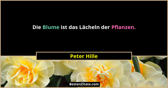 Die Blume ist das Lächeln der Pflanzen.... - Peter Hille