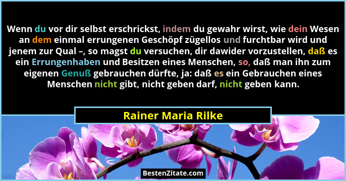 Wenn du vor dir selbst erschrickst, indem du gewahr wirst, wie dein Wesen an dem einmal errungenen Geschöpf zügellos und furchtba... - Rainer Maria Rilke