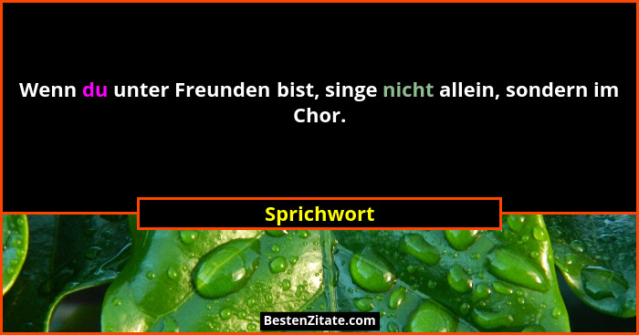 Wenn du unter Freunden bist, singe nicht allein, sondern im Chor.... - Sprichwort