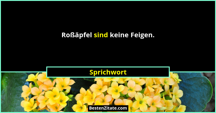 Roßäpfel sind keine Feigen.... - Sprichwort