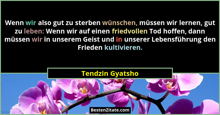 Wenn wir also gut zu sterben wünschen, müssen wir lernen, gut zu leben: Wenn wir auf einen friedvollen Tod hoffen, dann müssen wir i... - Tendzin Gyatsho