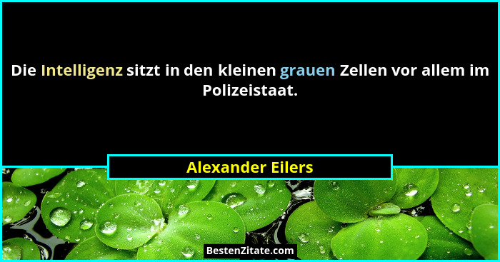 Die Intelligenz sitzt in den kleinen grauen Zellen vor allem im Polizeistaat.... - Alexander Eilers
