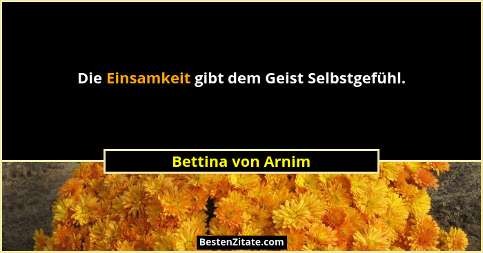 Die Einsamkeit gibt dem Geist Selbstgefühl.... - Bettina von Arnim