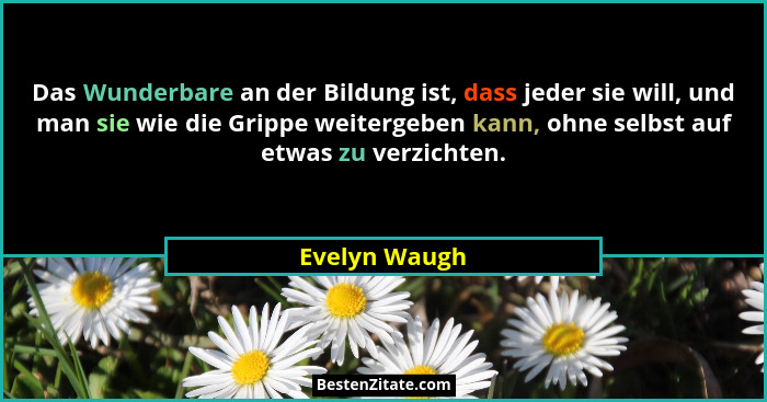 Das Wunderbare an der Bildung ist, dass jeder sie will, und man sie wie die Grippe weitergeben kann, ohne selbst auf etwas zu verzichte... - Evelyn Waugh