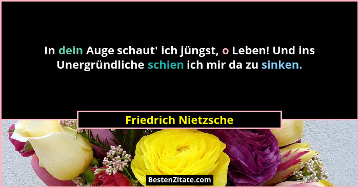 In dein Auge schaut' ich jüngst, o Leben! Und ins Unergründliche schien ich mir da zu sinken.... - Friedrich Nietzsche