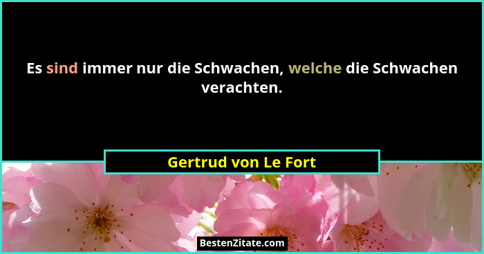 Es sind immer nur die Schwachen, welche die Schwachen verachten.... - Gertrud von Le Fort