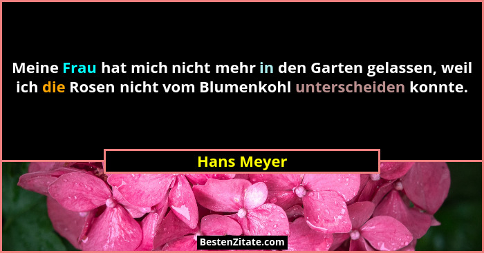 Meine Frau hat mich nicht mehr in den Garten gelassen, weil ich die Rosen nicht vom Blumenkohl unterscheiden konnte.... - Hans Meyer
