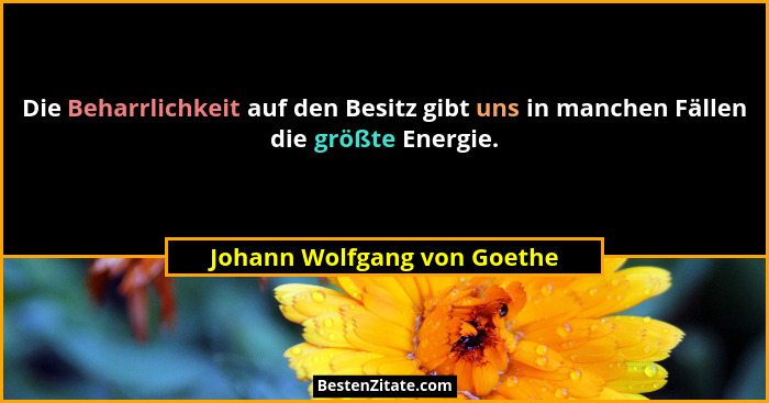 Die Beharrlichkeit auf den Besitz gibt uns in manchen Fällen die größte Energie.... - Johann Wolfgang von Goethe