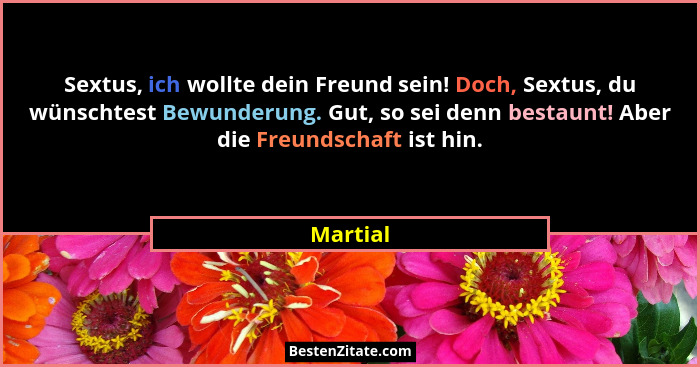 Sextus, ich wollte dein Freund sein! Doch, Sextus, du wünschtest Bewunderung. Gut, so sei denn bestaunt! Aber die Freundschaft ist hin.... - Martial