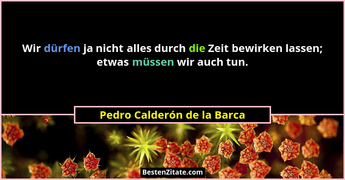 Wir dürfen ja nicht alles durch die Zeit bewirken lassen; etwas müssen wir auch tun.... - Pedro Calderón de la Barca