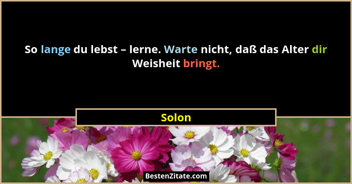 So lange du lebst – lerne. Warte nicht, daß das Alter dir Weisheit bringt.... - Solon