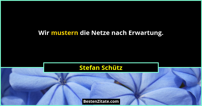 Wir mustern die Netze nach Erwartung.... - Stefan Schütz