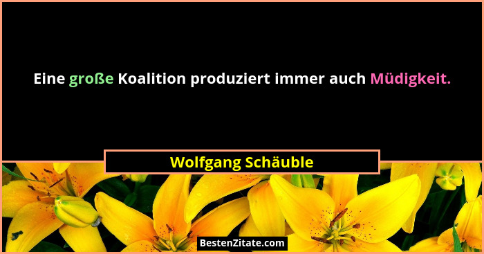 Eine große Koalition produziert immer auch Müdigkeit.... - Wolfgang Schäuble