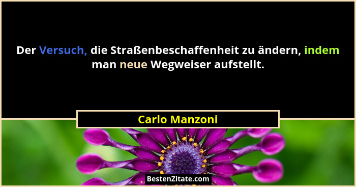 Der Versuch, die Straßenbeschaffenheit zu ändern, indem man neue Wegweiser aufstellt.... - Carlo Manzoni
