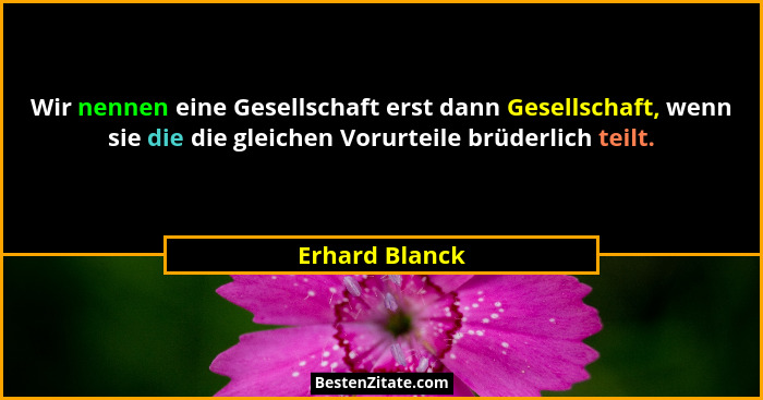 Wir nennen eine Gesellschaft erst dann Gesellschaft, wenn sie die die gleichen Vorurteile brüderlich teilt.... - Erhard Blanck