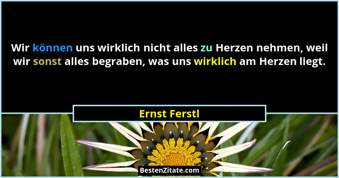 Wir können uns wirklich nicht alles zu Herzen nehmen, weil wir sonst alles begraben, was uns wirklich am Herzen liegt.... - Ernst Ferstl