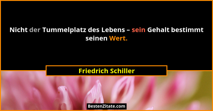 Nicht der Tummelplatz des Lebens – sein Gehalt bestimmt seinen Wert.... - Friedrich Schiller
