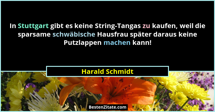 In Stuttgart gibt es keine String-Tangas zu kaufen, weil die sparsame schwäbische Hausfrau später daraus keine Putzlappen machen kann... - Harald Schmidt