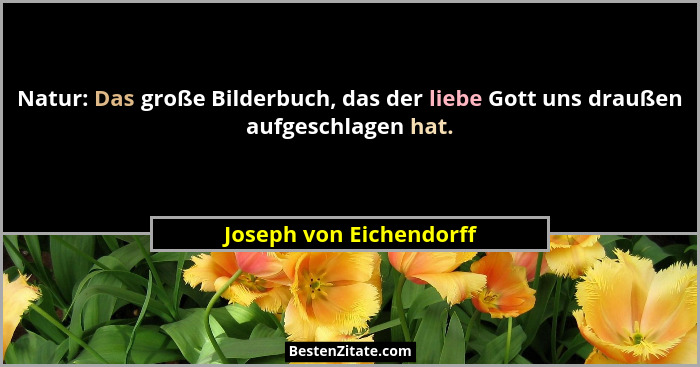 Natur: Das große Bilderbuch, das der liebe Gott uns draußen aufgeschlagen hat.... - Joseph von Eichendorff