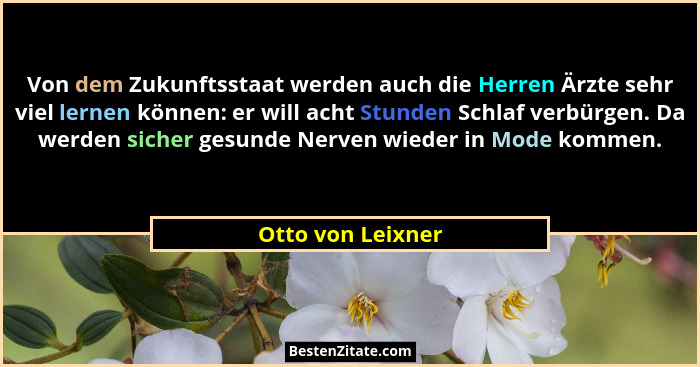 Von dem Zukunftsstaat werden auch die Herren Ärzte sehr viel lernen können: er will acht Stunden Schlaf verbürgen. Da werden sicher... - Otto von Leixner