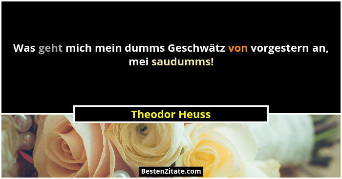 Was geht mich mein dumms Geschwätz von vorgestern an, mei saudumms!... - Theodor Heuss