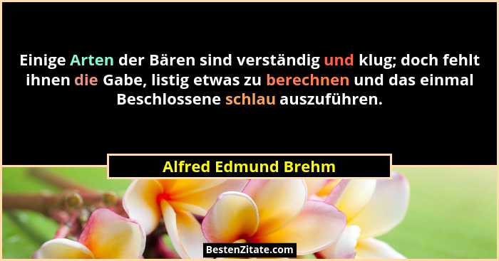 Einige Arten der Bären sind verständig und klug; doch fehlt ihnen die Gabe, listig etwas zu berechnen und das einmal Beschlossen... - Alfred Edmund Brehm