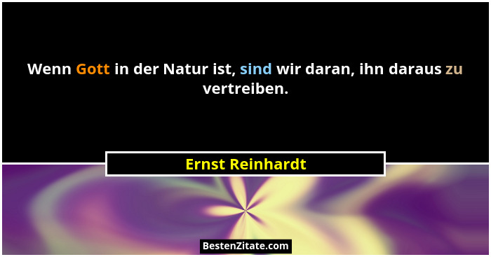 Wenn Gott in der Natur ist, sind wir daran, ihn daraus zu vertreiben.... - Ernst Reinhardt