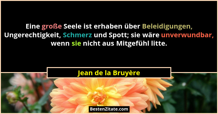 Eine große Seele ist erhaben über Beleidigungen, Ungerechtigkeit, Schmerz und Spott; sie wäre unverwundbar, wenn sie nicht aus Mi... - Jean de la Bruyère