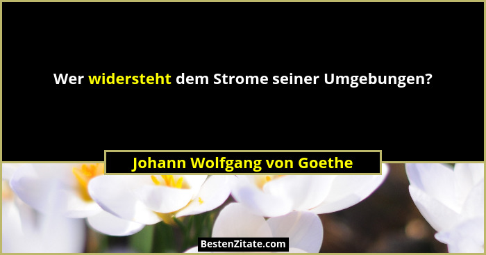 Wer widersteht dem Strome seiner Umgebungen?... - Johann Wolfgang von Goethe