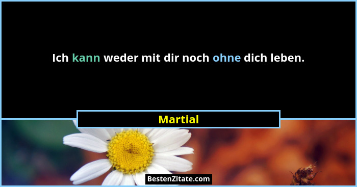 Ich kann weder mit dir noch ohne dich leben.... - Martial
