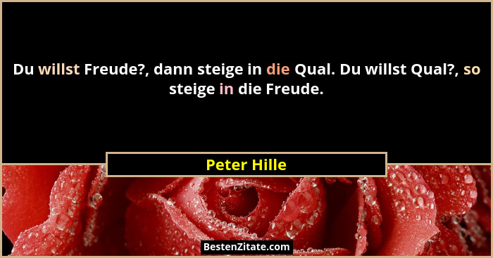 Du willst Freude?, dann steige in die Qual. Du willst Qual?, so steige in die Freude.... - Peter Hille