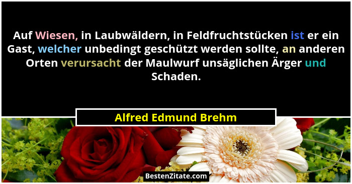 Auf Wiesen, in Laubwäldern, in Feldfruchtstücken ist er ein Gast, welcher unbedingt geschützt werden sollte, an anderen Orten ve... - Alfred Edmund Brehm
