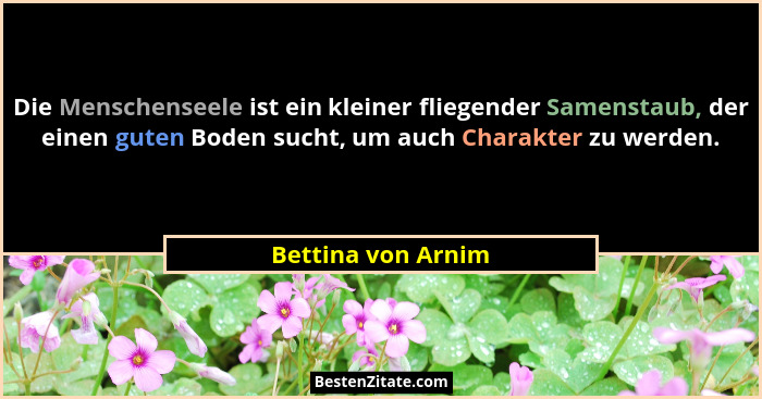 Die Menschenseele ist ein kleiner fliegender Samenstaub, der einen guten Boden sucht, um auch Charakter zu werden.... - Bettina von Arnim