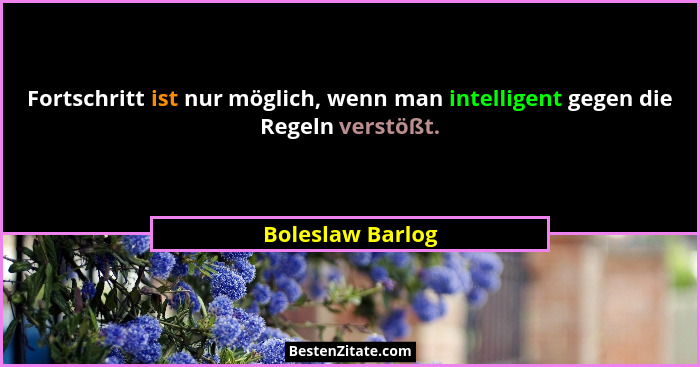 Fortschritt ist nur möglich, wenn man intelligent gegen die Regeln verstößt.... - Boleslaw Barlog