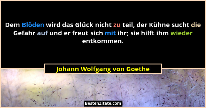Dem Blöden wird das Glück nicht zu teil, der Kühne sucht die Gefahr auf und er freut sich mit ihr; sie hilft ihm wieder e... - Johann Wolfgang von Goethe