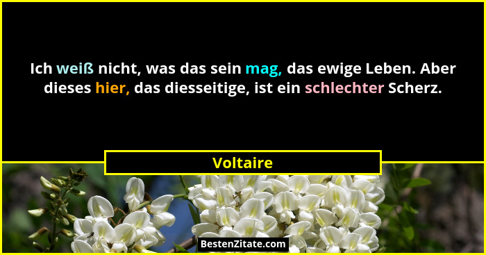 Ich weiß nicht, was das sein mag, das ewige Leben. Aber dieses hier, das diesseitige, ist ein schlechter Scherz.... - Voltaire